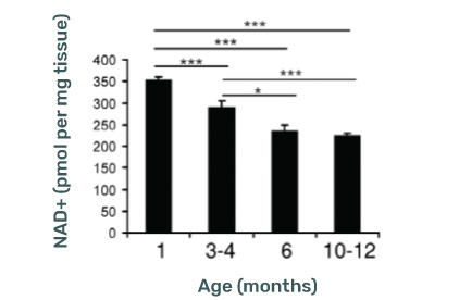 NAD+ (pmol per mg tissue) Levels decline with age