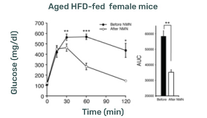 NMN Supplementation and Type 2 Diabetic female mice